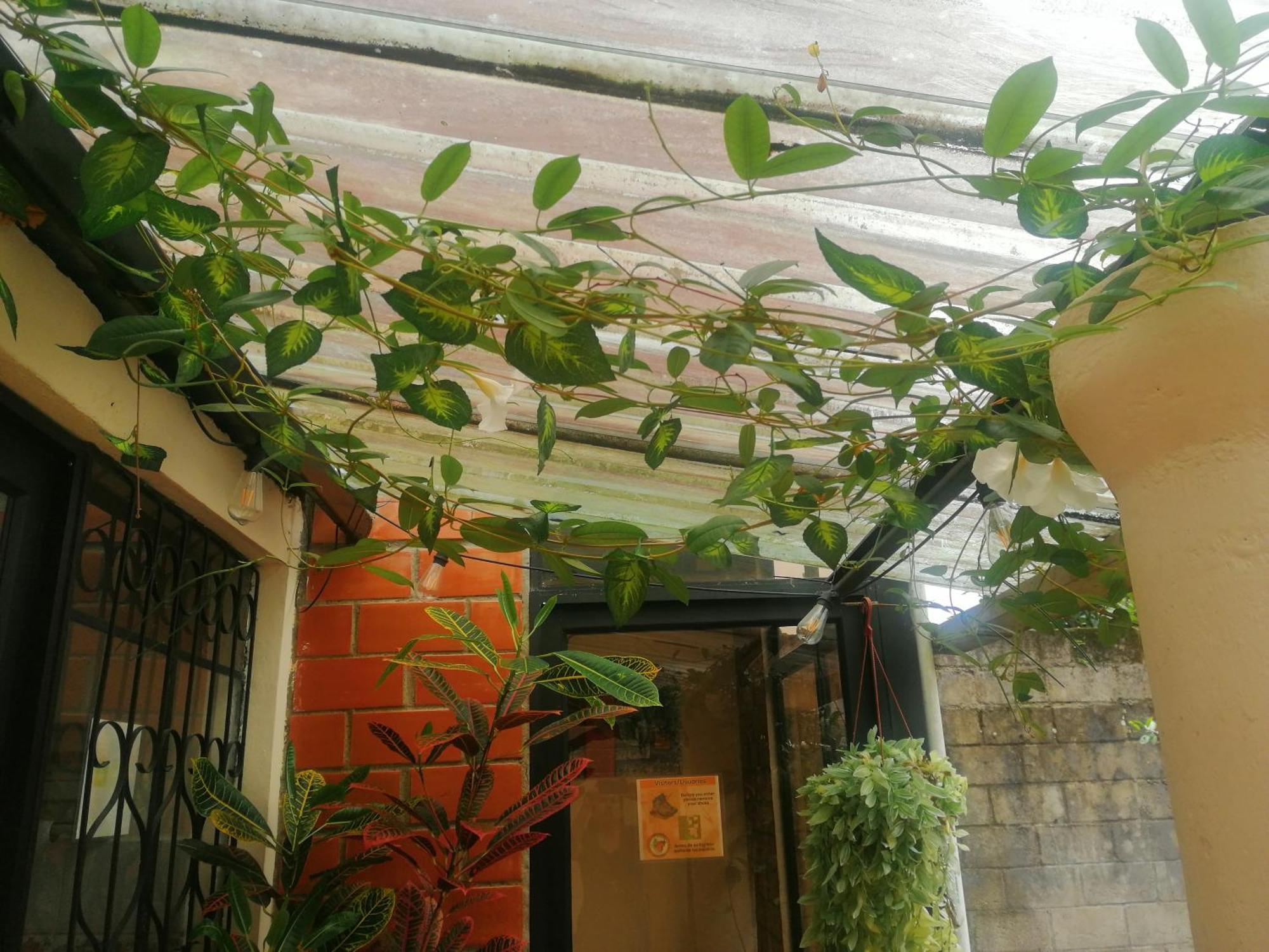 Home Capybara Stay Mindo Exterior foto